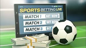 Descubra o Mundo de Apostas com 979bet Descubra o Mundo de Apostas com 979bet